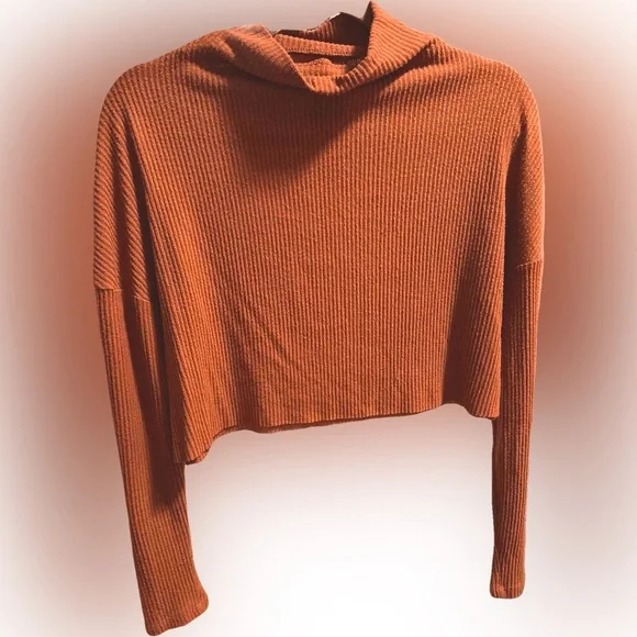 Soft Mock Turtleneck Crop Top - Picture 1 of 1